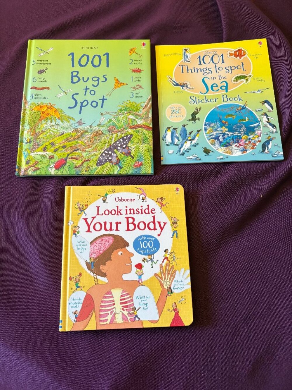 Usborne Educational Book Bundle – Look Inside Your Body, 1001 Bugs to Spot & Sea